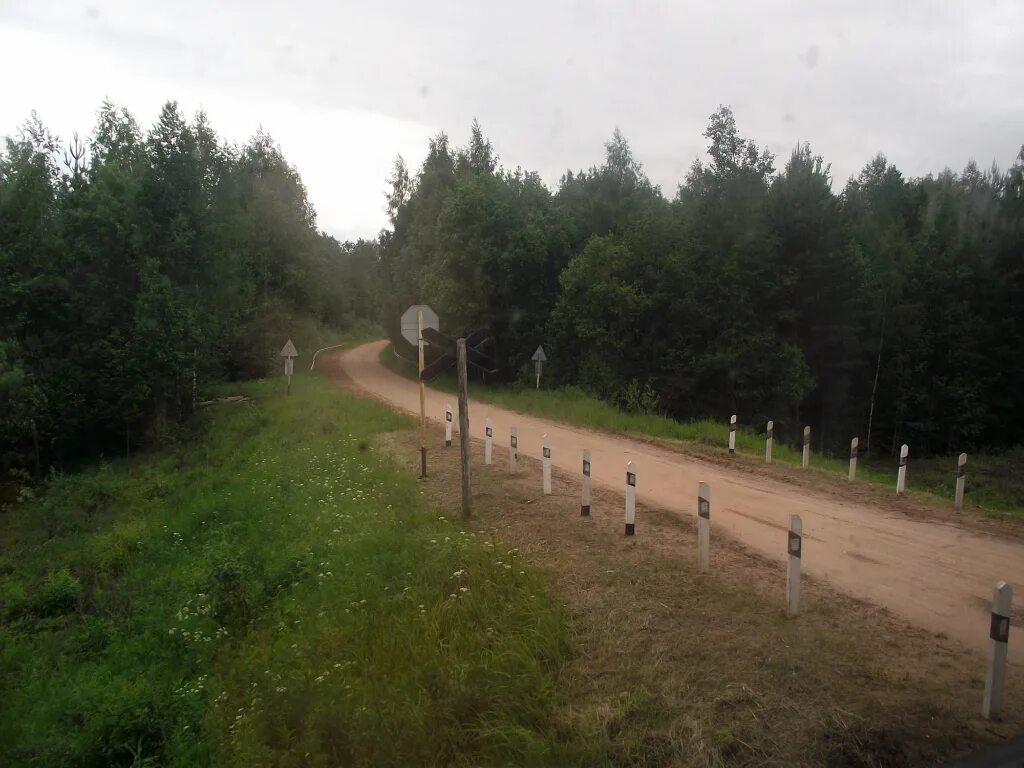 Хвойная будогощь. Тальцы Мологские станция. Тальцы Мологские Новгородская область. Станция Тальцы Новгородская область. Тальцы Будогощь.