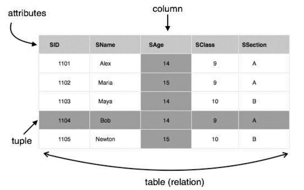 What is Relational database. Object Relational model. Attribute in English. Database tuple.