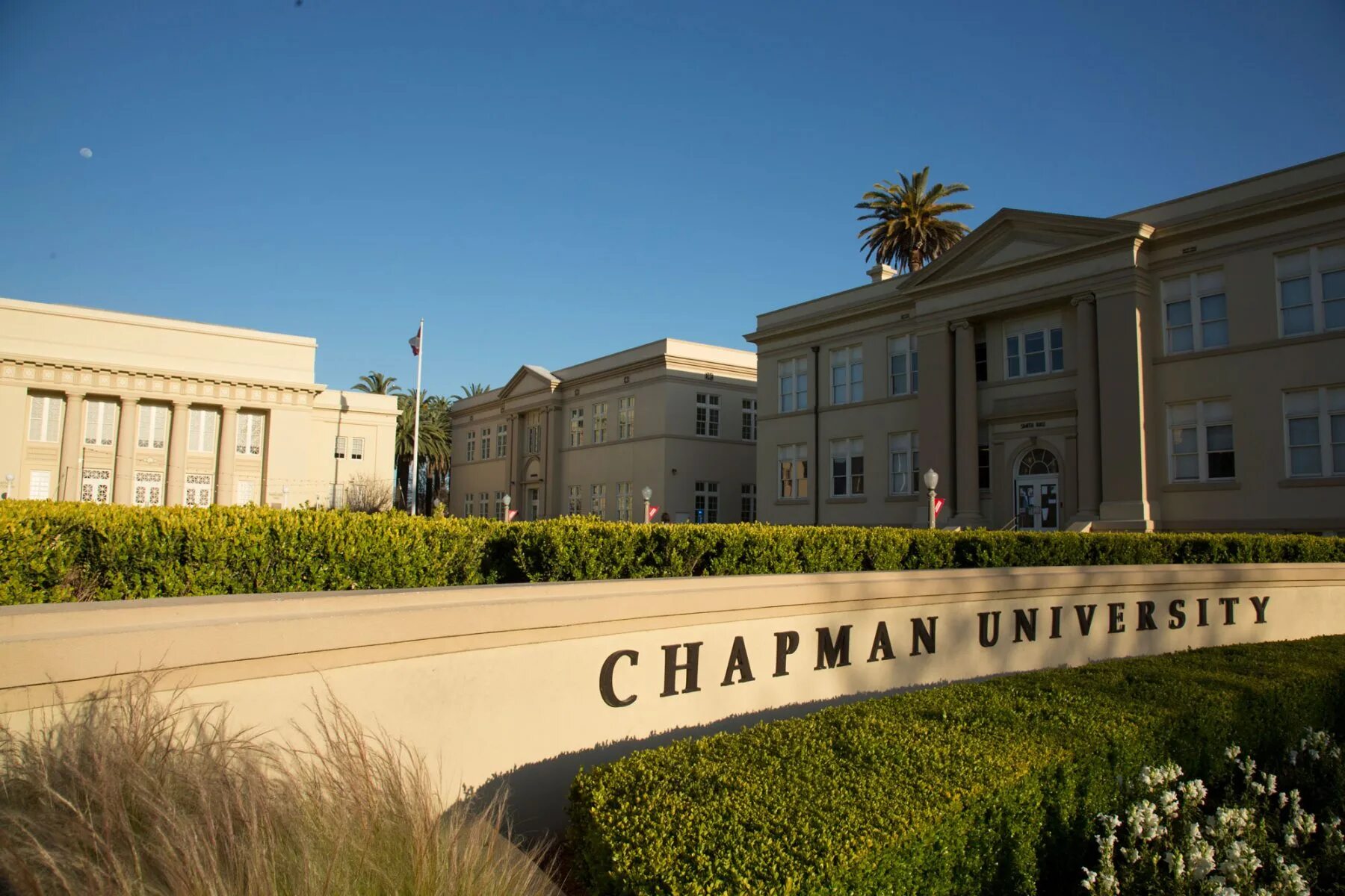 University academy. Чепменский университет. чапман университет сша. an university или a university. chapman university информация.