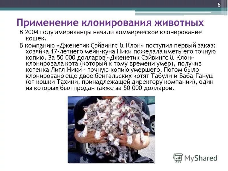 Способы клонирования животных. Задачи клонирования животных. Клонирование животных. Методы выделения генов. Клеточные биотехнологии.