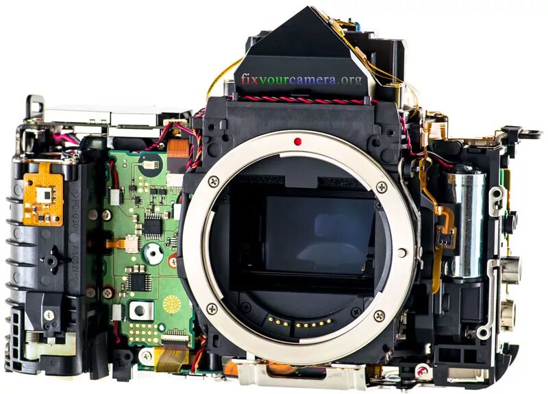 Manual camera dslr. Затвор canon 5d mark iii. canon 5d mark 4 затвор. nikon-d800-dslr-camera-teardown. разбираем canon 5d.