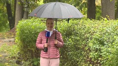 Школа здрава