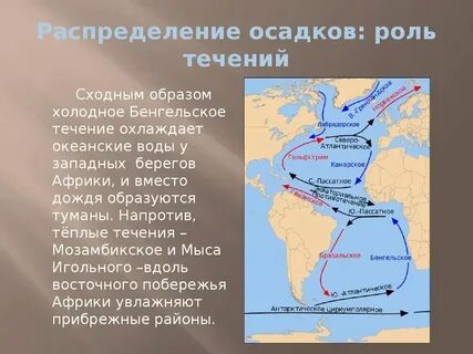Теплое мозамбикское течение является частью