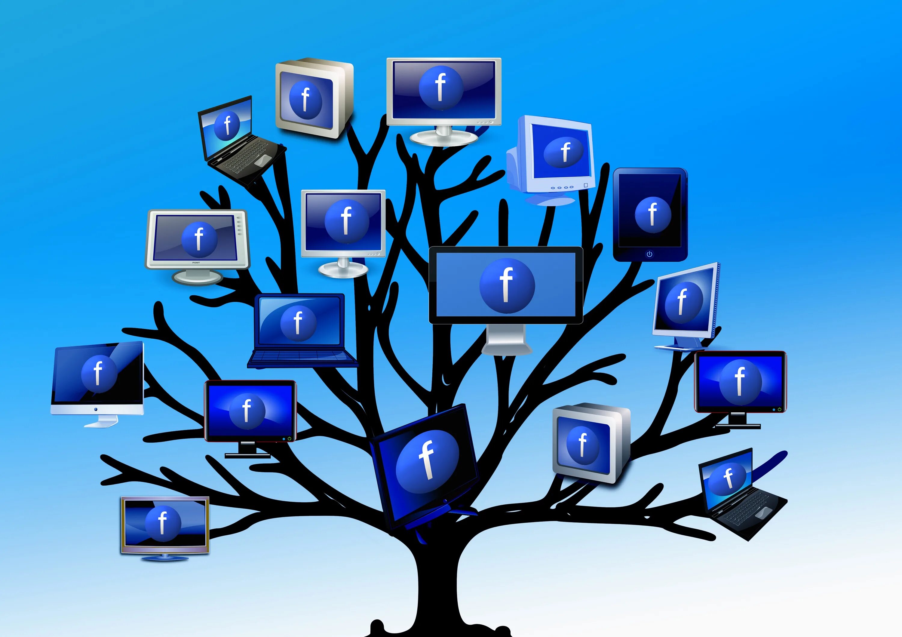 Computer guide. Компьютерные сети. Локальная сеть. Локальные компьютерные сети. Компьютерная вычислительная сеть.