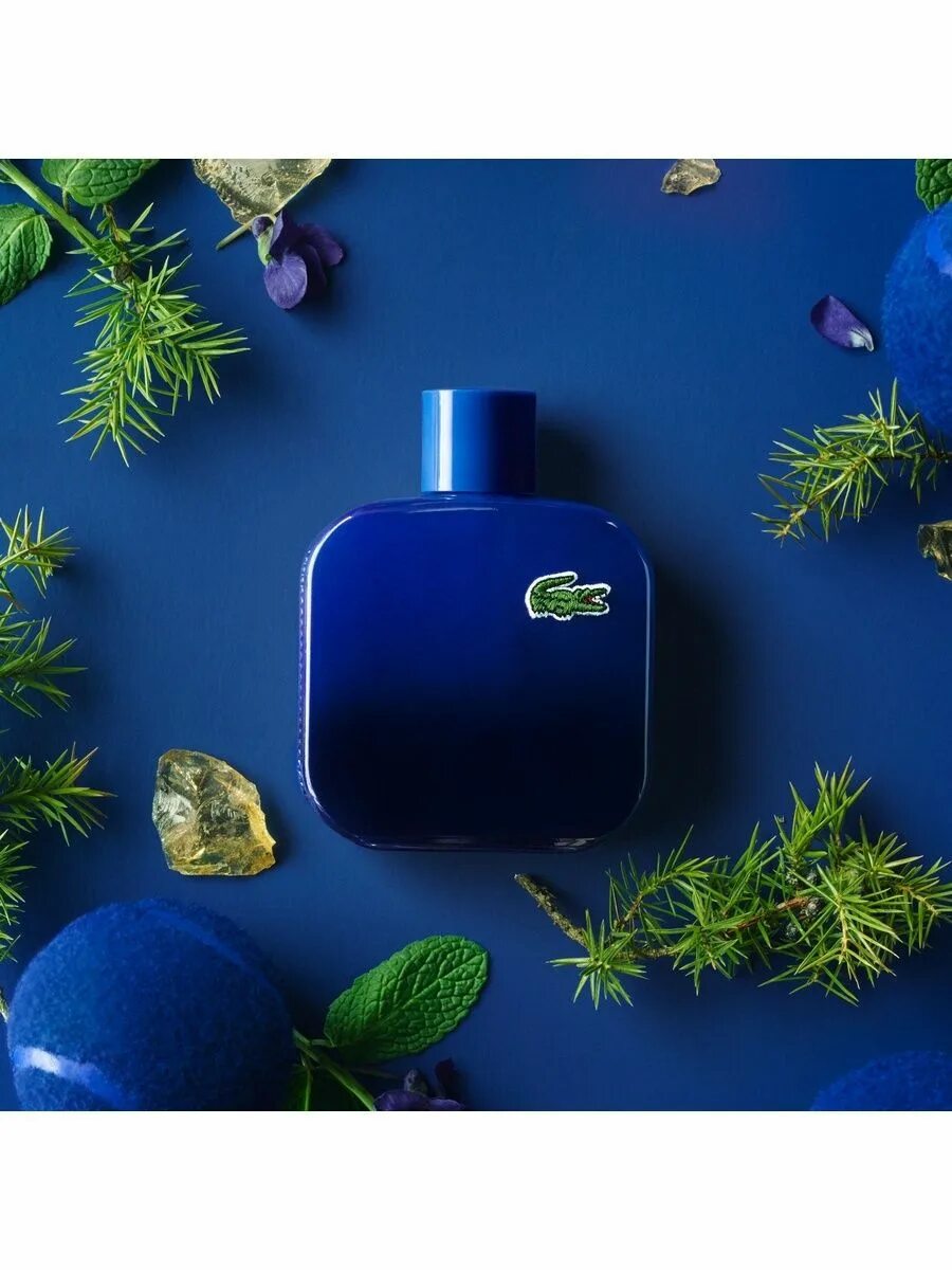 12 pour lui magnetic туалетная вода мужская, 100мл. Eau de lacoste l 12. Silvana парфюм 12. 12 magnetic pour lui туалетная вода 100 мл. Лакоста мужская туалетная magnetic.