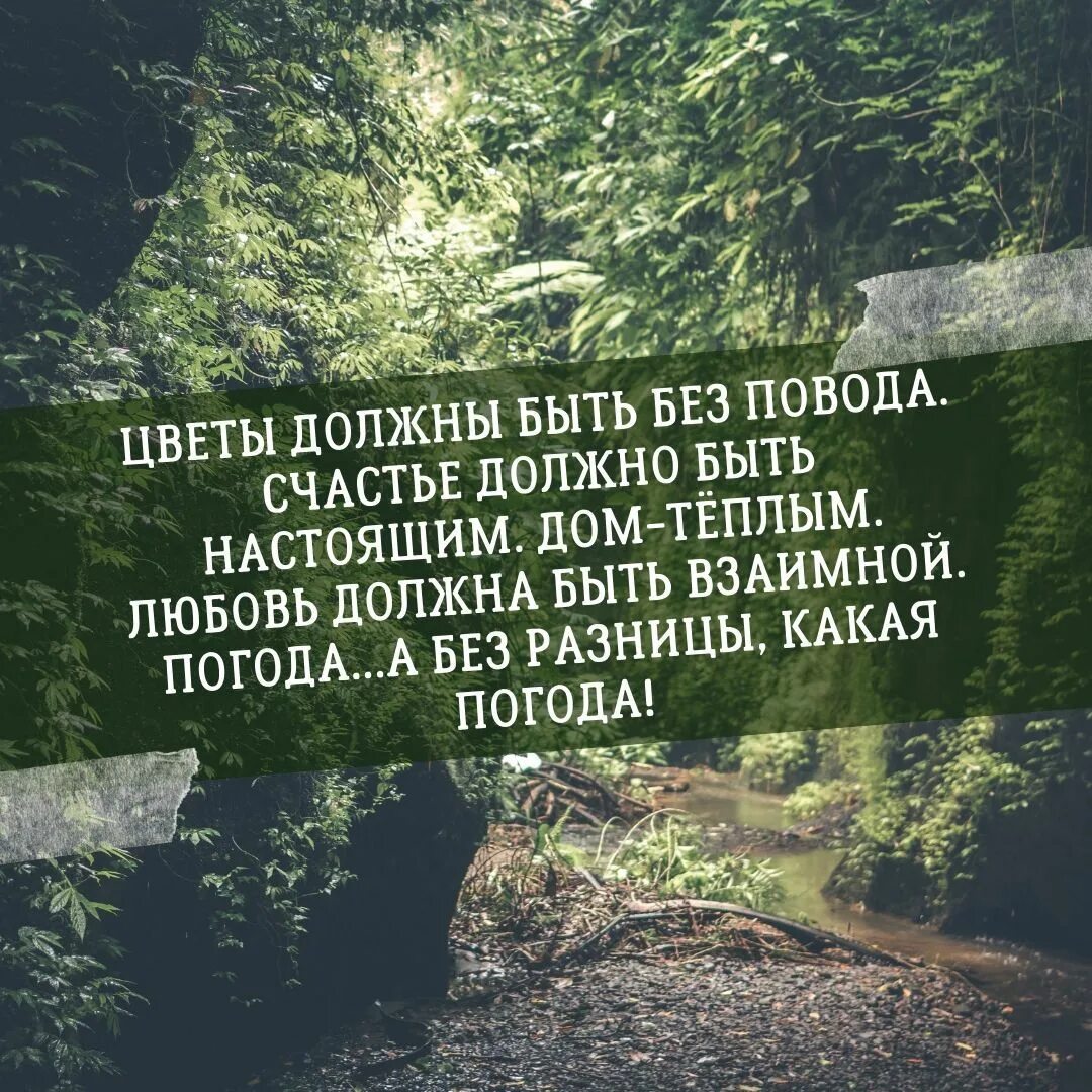 Цветы без повода статусы. Цветы должны быть без повода статусы. Цветы должны быть без повода цитата. Цветы без повода цитаты. Цветы должны без повода цитаты.