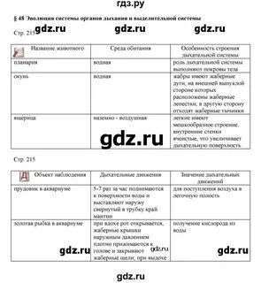 Параграф 48
