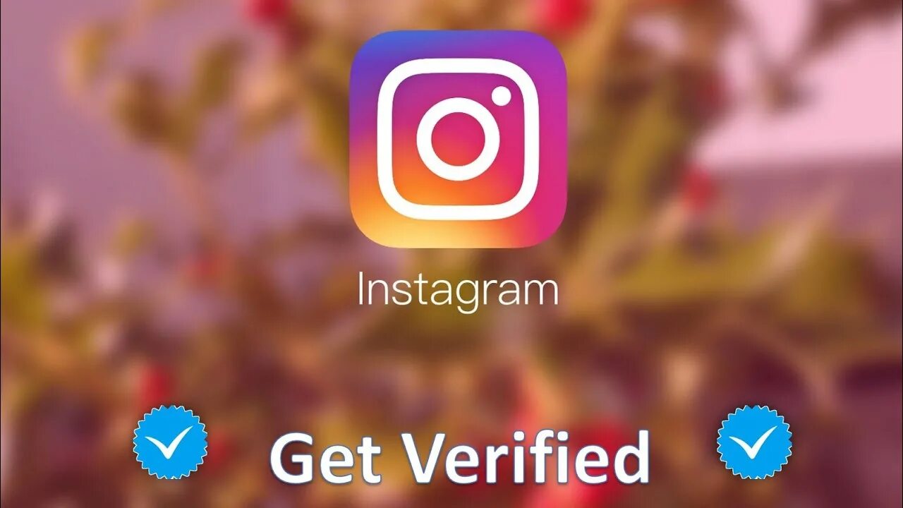 How to instagram