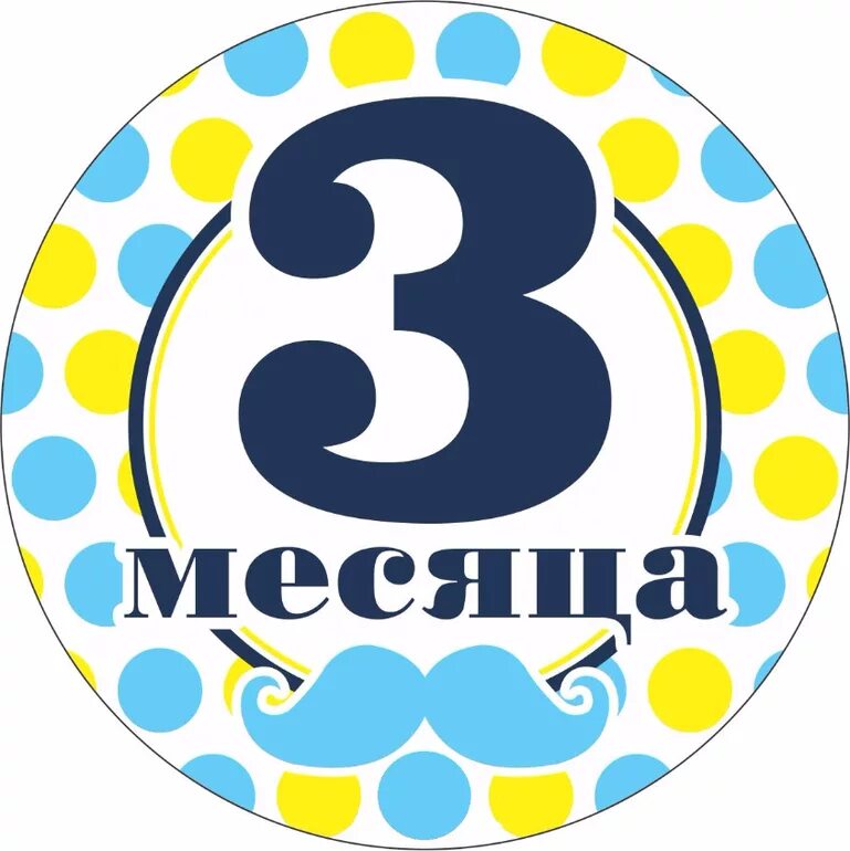 3.3 месяца