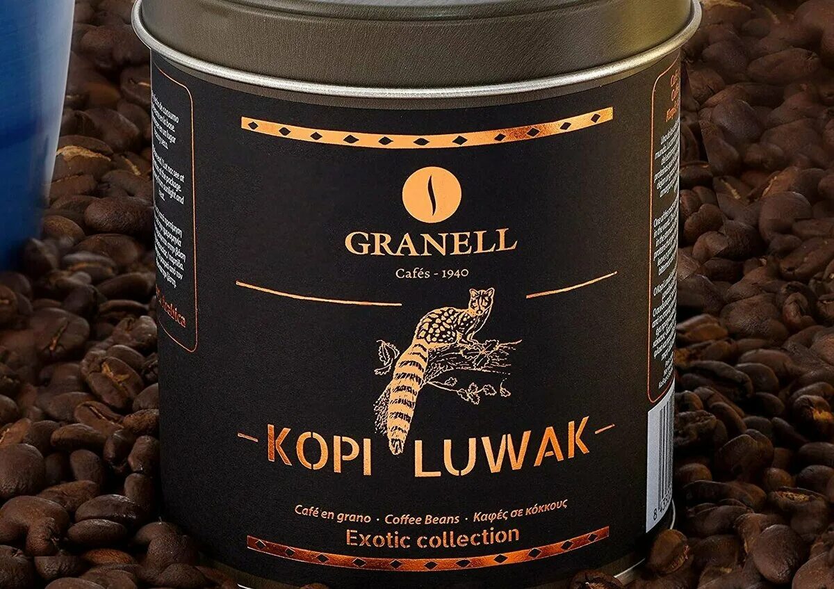 Сорт кофе копи Лювак. Самый дорогой кофе kopi Luwak. Кофе копи Лювак животное. Кофе Вьетнам копи Лювак. Кофе из какашек животного