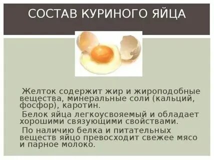 Что содержится в курином белке