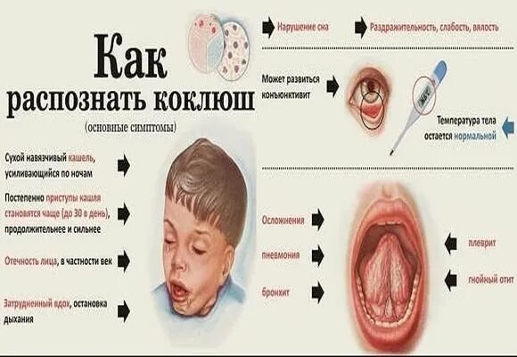 Переносчики коклюша