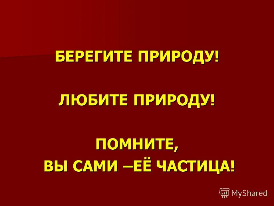 стих про красную книгу. призыв беречь животных. берегите животных красной книги. берегите животных красной книги. надпись берегите животных.