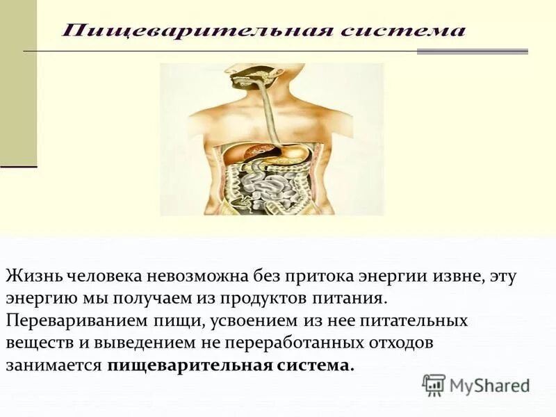 проявление человеком активности не стимулированной извне это. проявление чувств. проявление человеком активности не стимулированной извне это. без притока энергии извне к веществу охлаждается. инициативность это в психологии.