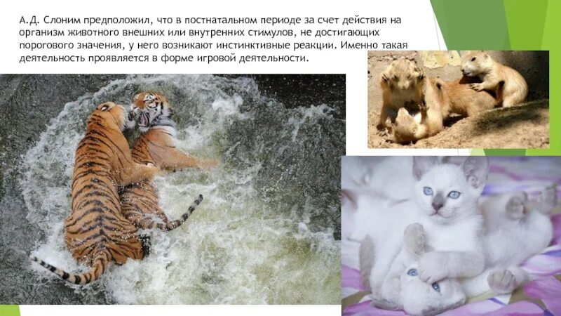 Сезонные формы поведения животных. Инстинктивное поведение животных. интересные инстинкты животных. инстинктивное поведение в раннем постнатальном периоде. постнатальный период животных.
