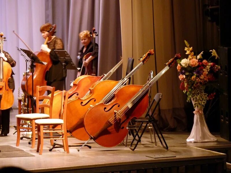 Струнный оркестр состав. Струнная группа оркестра. Струнный оркестр. Струнная группа оркестра. Смычковый оркестр.
