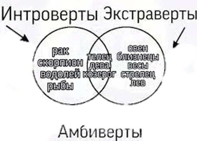Амбиверт экстраверт и интроверт простыми словами. Существует ли амбиверт.