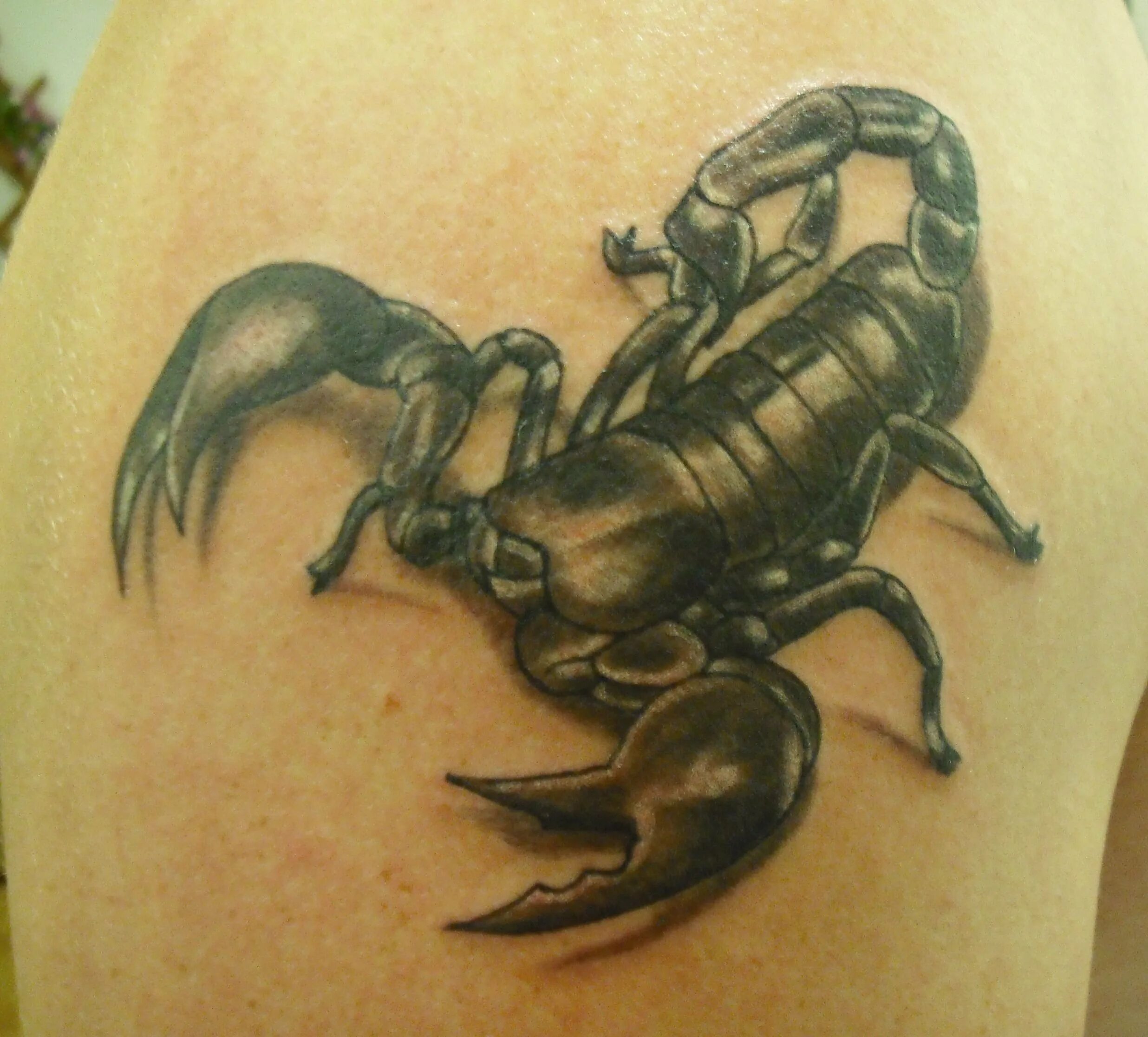 Тату Скорпион. Скорпион тату реализм. Татуировки Скорпион для мужчин. Тату Скорпион цветной.