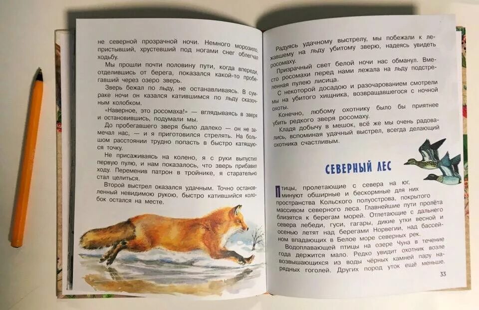 Читать книги северного лиса. Соколов Микитов лисицы. Книги Соколова Микитова. Соколов-Микитов рассказы лисицы.