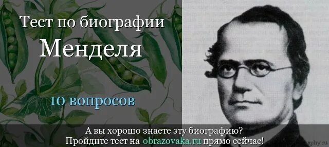 Г Мендель. Мендель в детстве. Мендель ученый. Грегор Мендель в детстве.