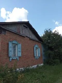Отдать продать саргатка
