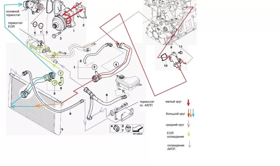 Система охлаждения м д. Термостат АКПП БМВ е60 м54. Термостат BMW x5 схема. Система охлаждения двигателя БМВ е46. БМВ х5 система охлаждения двигателя.