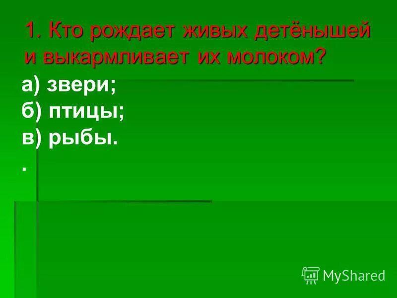 Какое животное рождает живых детенышей