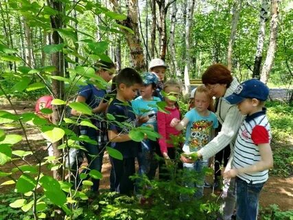 Дети на экскурсии на природу