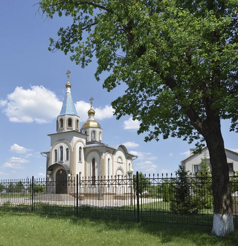 Святого белгородская область. Храм св. Владимира Вязовое Прохоровский район. Храм в Вязовом Белгородская область. Храм в селе Вязовое Белгородской области-. Село Вязовое Белгородской области Прохоровский район храм.