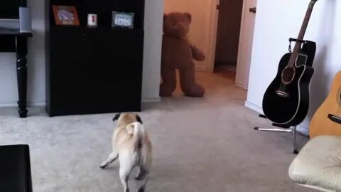 Видео нечего