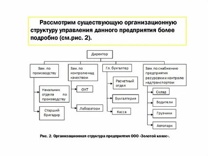 Рис организационная структура