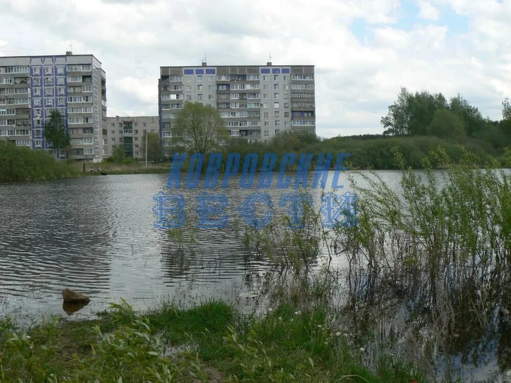 Луйский пруд ковров. Ковров. Владимирский пруд реконструкция. Оленьи пруды ковровский район официальный сайт. Кукушкин пруд ковров 2021.