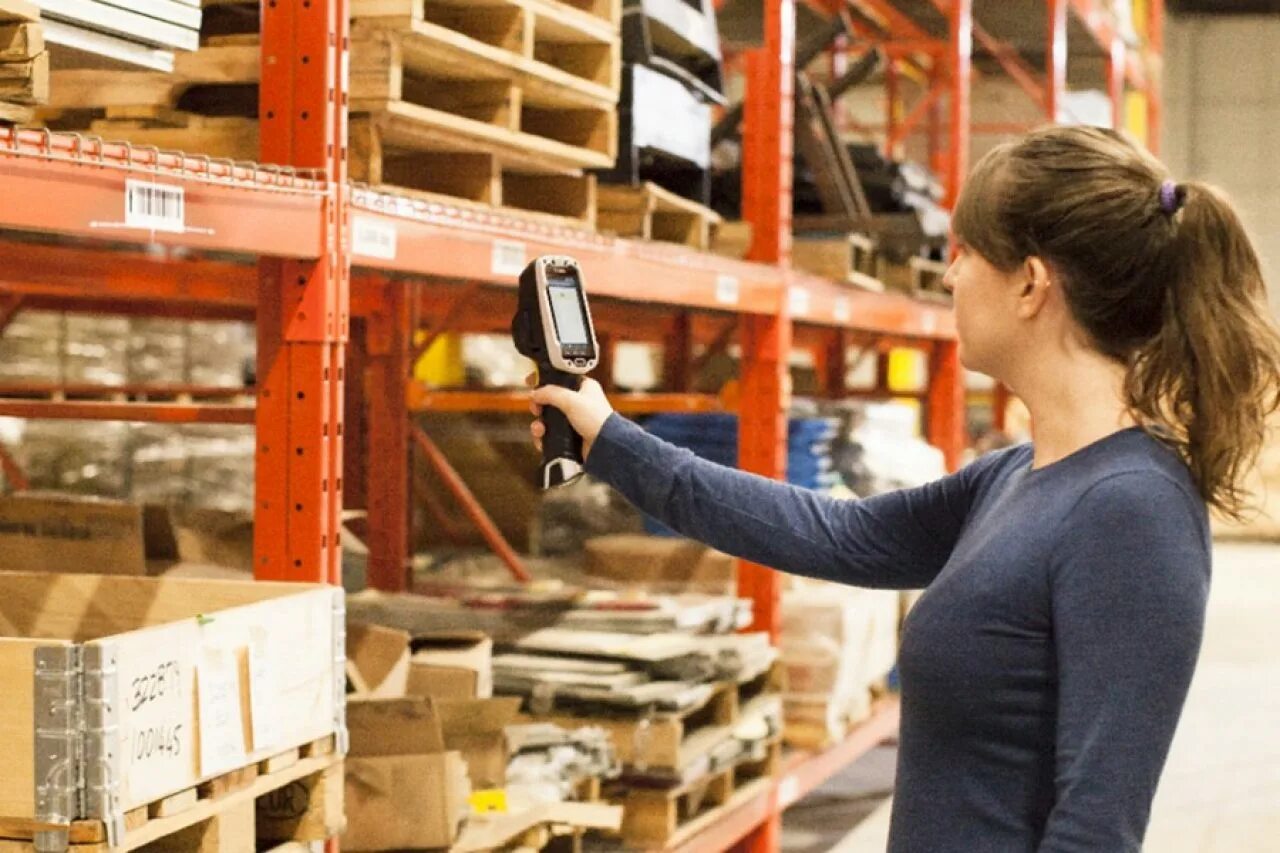 Разнорабочие на склад. Государственные работы без опыта. Государственные работы без опыта. Склад алиди в валищево. Специальность инженер пгс.