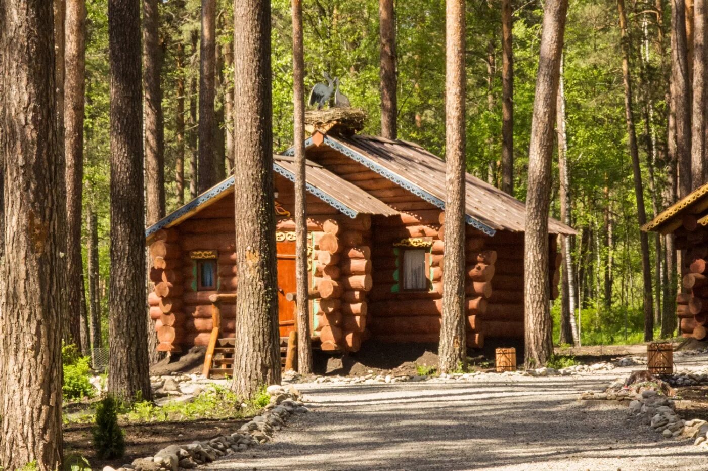 Турбаза Катунь горный Алтай. Кедровый берег горный Алтай. Сказка Алтая база отдыха горный Алтай. Усадьба кедр горный Алтай. Балта база отдыха