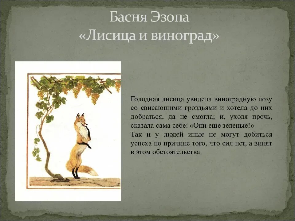 Лиса и виноград басня Эзопа. Басня Эзопа лисица и виноград. Басня Эзопа лиса и виноград текст. Крылов и эзоп