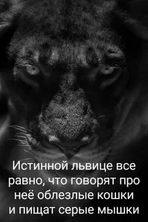 Гордая морда