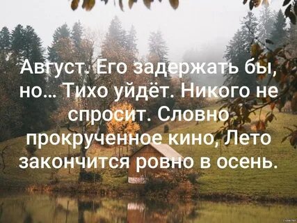 Лето закончилось цитаты