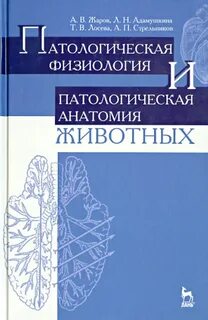 Патологическая анатомия патология