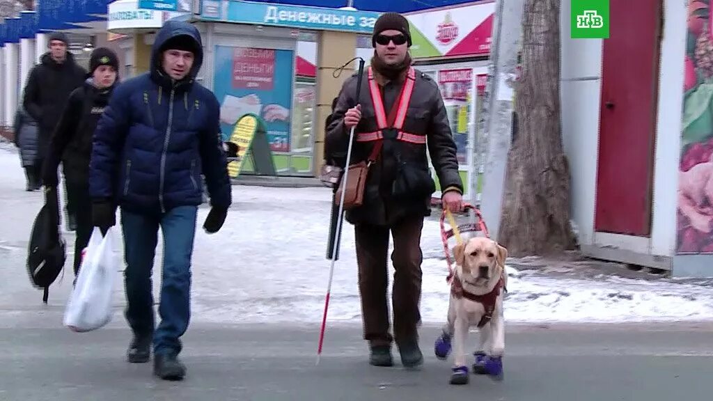 Слепые и слабовидящие люди. Собаки поводыри екатеринбург. Слепые пианисты. Кабинка тифлокомментатора. Свердловская областная специальная библиотека для слепых.