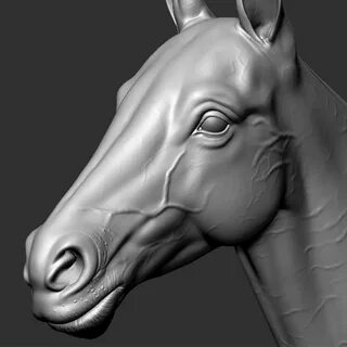 Кони 3d
