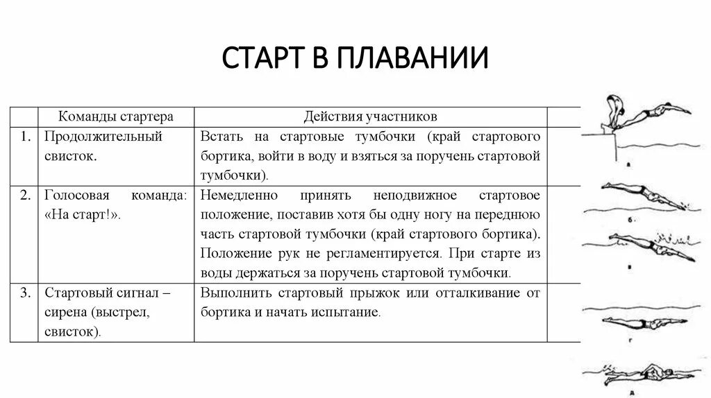 Некорректная команда. Техника старта в плавании. Техника стартов в плавании. Структура плавания. Структура урока по плаванию.