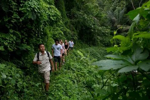 Beaten track
