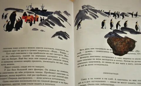 Рассказ про пингвинов для детей снегирев