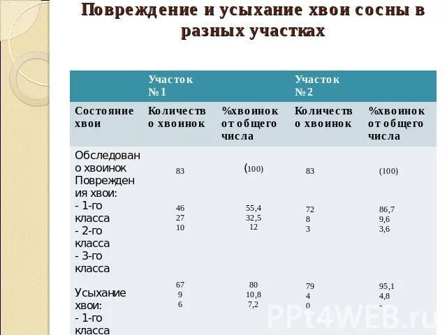 Продолжительность жизни хвоя. Продолжительность жизни хвоя. Таблица повреждений хвоинок. Продолжительность жизни хвоя. Продолжительность жизни листьев.