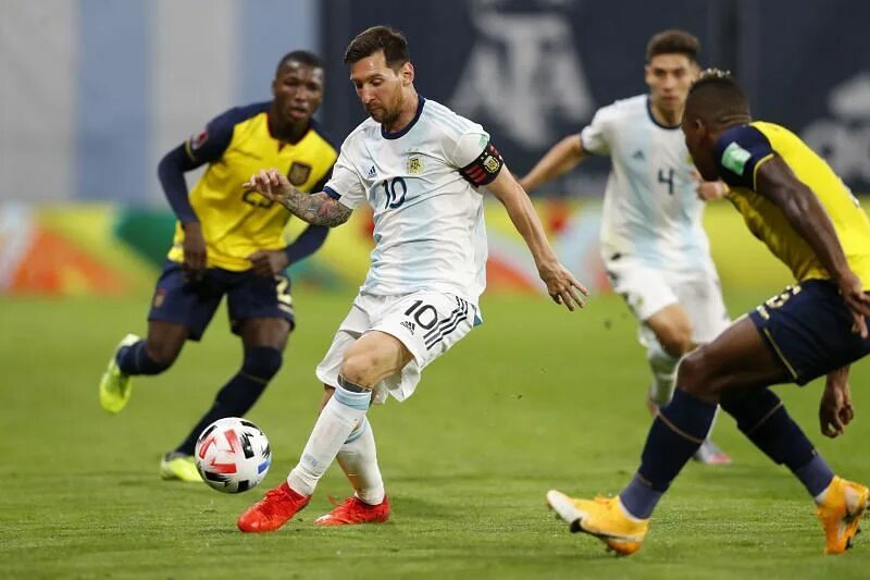 Argentina world cup 2022. Live argentina vs ecuador. Live argentina vs ecuador. Рональди аргентина. Live argentina vs ecuador.