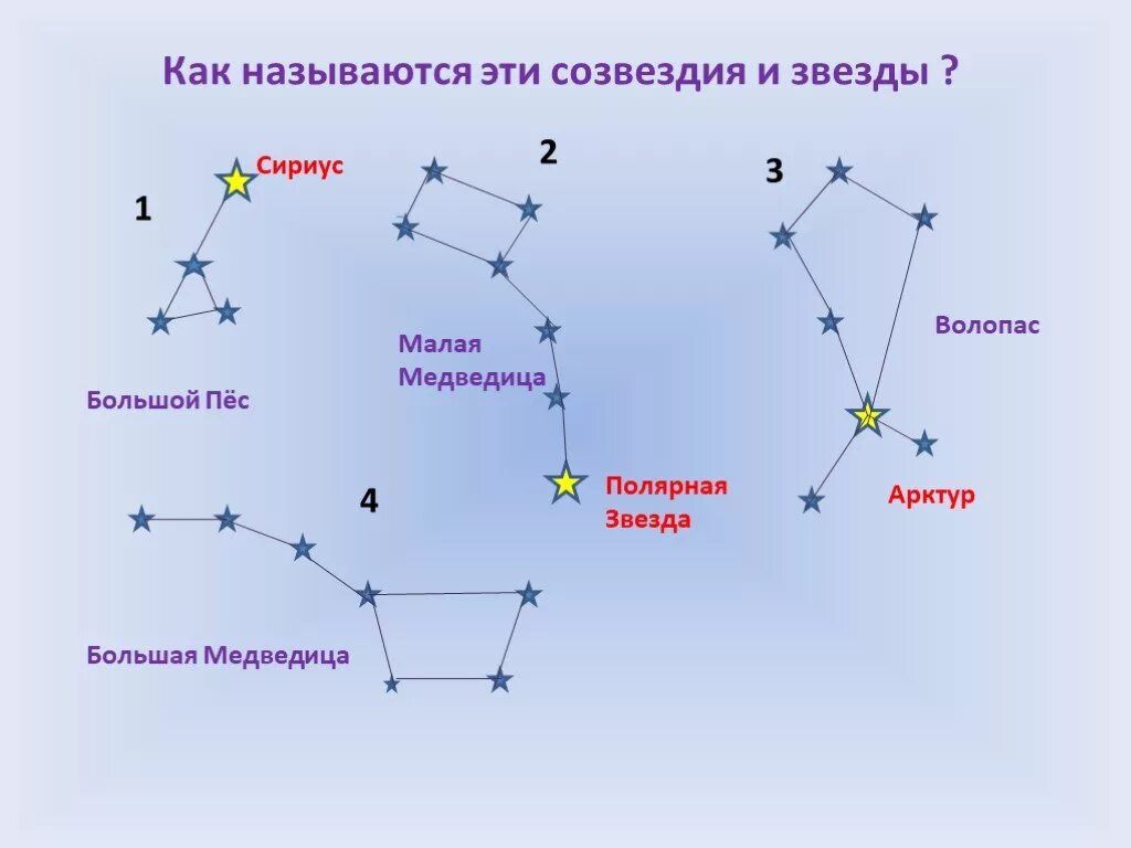 Как понять как звезд на небе. Сириус созвездие схема. большой пёс с полярной звездой и сириусом. большая медведица созвездие и сириус. полярная звезда в созвездии большого пса.