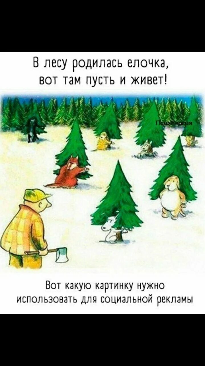 В лесу родилась елочка дата создания. В лесу родилась елочка дата создания