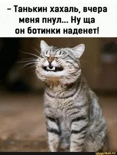 Кто такой хахаль для девушки