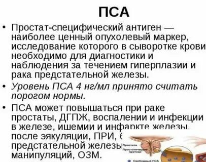 Как снизить уровень пса