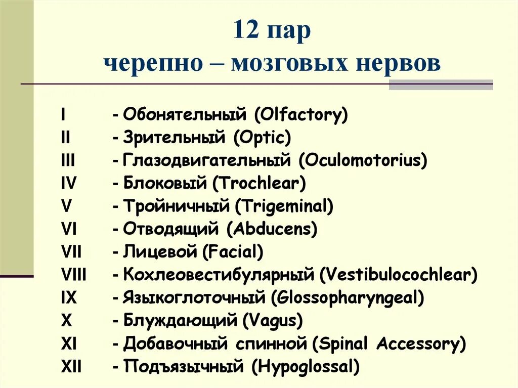 Под черепные нервы. 12 Пар черепно мозговых нерв. 12 Пара черепномозговых нервлв. Черепные нервы 12 пар. Чепепномозговып нервы 12 пар.